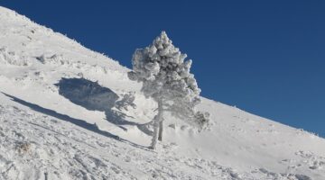 Nachlazení – jak ho předejít i vyléčit