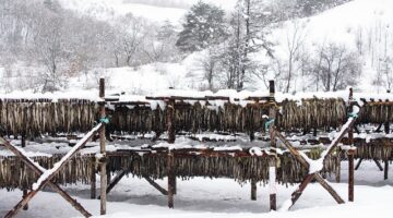 Nachlazení – informace o příznacích, příčinách a léčbě