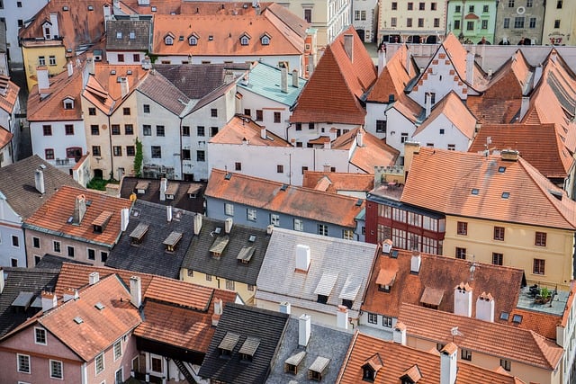 Přehled nejoblíbenějších hobby a zájmů mezi Čechy