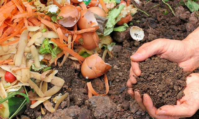 Jak si vytvořit vlastní organické hnojivo doma
