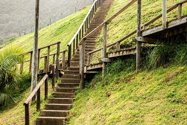 Jak zlepšit své zdraví bez velkých námah